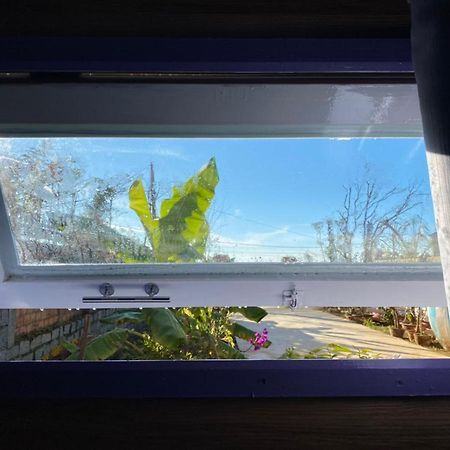 Lam Vien Garden Villa - Homestay 大叻 外观 照片